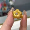Anel Flor de Ameixa Escovado com Zircônia Estilo Xiaohongshu 2025 Douyin Novo Nicho Elegante Acessível Luxo Anel de Pistilo de Flor