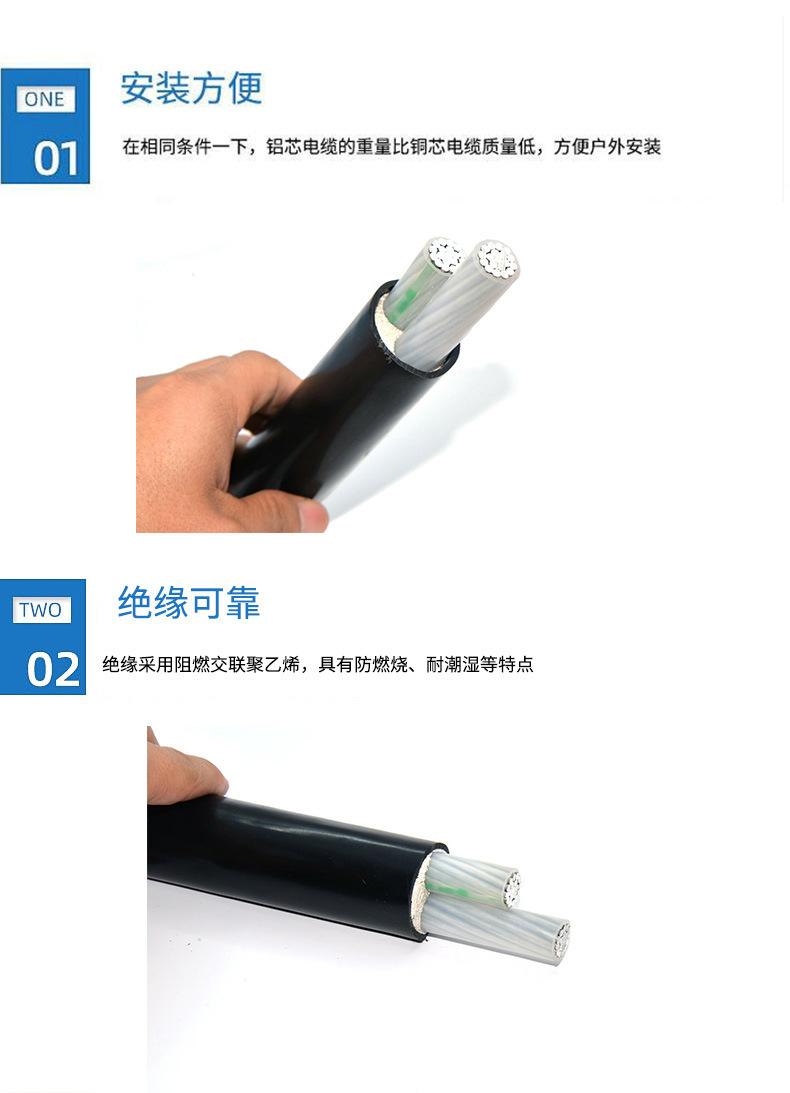 铝芯电缆2等芯1