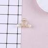 Pinza de Garra Simple Personalizada para Mujer, Accesorio Transparente para el Cabello para Recogidos, Accesorio de Pasador Versátil, Pinza para Raíz del Cabello