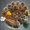Fruta Fixa Natural Planta Fruta Casca Espécime Material Decoração Flores Secas Fatias Jardim de Infância DIY Pacote de Material de Natal