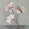 Novas Flores Artificiais para Casamento, Decoração Suave para Salão de Casamento, Decorações de Teto com Flor de Magnólia, Armários de Shopping Center, Decoração Suave para Casa