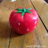 Temporizador de Tomate Temporizador de Cocina Temporizador Mecánico Actividad Regalo