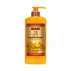 Baosijie Gengibre Antiqueda Fortalecedor Shampoo Cuidado para Raízes do Cabelo Condensado Herbal Shampoo de Gengibre Velho Fabricante Atacado
