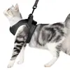 Correa para gato, arnés para gato, arnés tipo chaleco anti-escape para uso en exteriores, correa especial para gatitos, cadena para gato