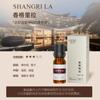 Umidificador especial máquina de aromaterapia com óleos essenciais vegetal solúvel em água alta concentração doméstico 10ml direto da fábrica óleo essencial de aromaterapia