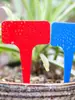Etiquetas de Jardinería de Plástico PVC Etiquetas en Forma de T para Flores Señales para Flores Etiquetas para Plantas Verdes Suculentas Etiquetas para Orquídeas