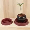 Bandeja para Vaso de Flores, Bandeja de Plástico para Vaso de Flores, Base de Vaso de Flores que Coleta Água, Bandeja de Vaso de Flores que Coleta Água, Bandeja de Drenagem Espessada para Prevenir o Apodrecimento das Raízes