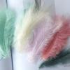 Decoración de plumas color pluma de pavo cola puntiaguda red de atrapasueños de terciopelo material bola ondulada relleno de caja de regalo accesorios para fotografía
