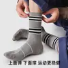 Calcetines de Otoño e Invierno Calcetines Deportivos para Hombre Calcetines Casuales Rayados Sin Costuras de Media Pantorrilla Calcetines de Moda Estilo Coreano ins Absorbentes de Sudor Versátiles Resistentes al Olor
