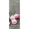 Rosa Vermelha Casamento fábrica de flores artificiais Rosa Rosa Vermelho fresco casamento fundo estrada chumbo decoração flor falsa atacado