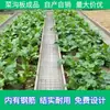 Placa de Plantio para Horta, Placa de Pavimentação para Pátio de Jardim, Ladrilho de Piso para Horta Rural, Placa de Cimento para Beira de Estrada, Placa de Drenagem, Produto Acabado