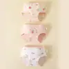 Roupa Íntima Feminina Algodão Puro Infantil Boxer de Cintura Média Categoria a Algodão Ano do Zodíaco Meninas 3-13 Anos Sem Presilha na Bunda Desenho Animado