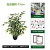 Árbol de banyan artificial para desmontaje y montaje transfronterizo para sala de estar interior, árbol de banyan artificial de planta verde en maceta con borde blanco para paisajismo de escaparates, árbol artificial