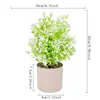 Nueva Planta Verde Artificial Más Vendida en Amazon Plantas en Maceta Estilo Europeo Frescas Decoraciones para el Hogar Venta al por Mayor de Fábrica Plantas Verdes Decorativas