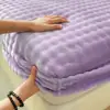 Novo Conjunto de Três Peças com Saia de Cama e Fronhas de Lã de Leite para Aquecimento de Inverno Cor Sólida Simples Uso Doméstico Protetor de Colchão Totalmente Fechado