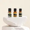 Aceite Esencial de Aromaterapia Soluble en Agua Máquina de Aromaterapia para Coche Humidificador Líquido Especial de Recarga Difusor Ambientador Fragancia de Larga Duración