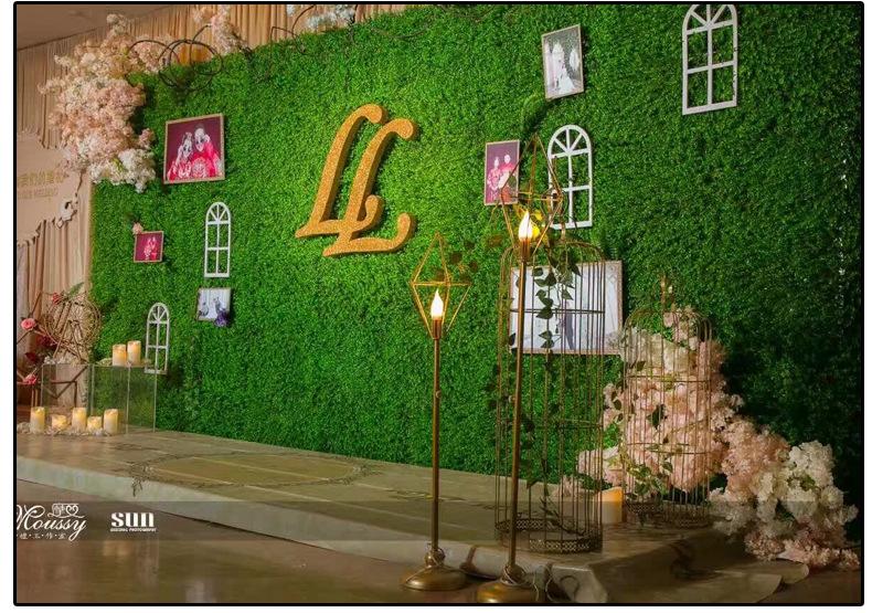 TB2Jn6lXHL9F1JjSZFlXXa2sVXa-85