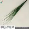Paquete de simulación de hierba de caña de bigotes largos, planta verde Setaria, adornos de plantas en maceta, decoración de ingeniería, paquete de flores de hierba de cebolla