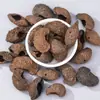Sinos de Vento Naturais de Casca de Fruta Indonésia Materiais a Granel, Sementes Realizadoras de Desejos Ondas Sonoras Sino de Mão Artesanal DIY Acessórios de Chaveiro