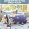 Funda de almohada 100% algodón, nuevo estilo 2026, algodón puro, juego de dos, funda de almohada estampada para todas las estaciones, 48 cm x 74 cm, funda interior para núcleo de almohada