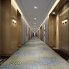 Alfombra de Pasillo de Hotel Nuevo Estilo Chinoiserie Impresión de Nylon 800g Engrosada Ignífuga B1 Resistente a Manchas en el Suelo Alfombra de Pasillo