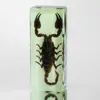Especímenes de Insectos de Resina Real: Insectos Reales, Escarabajos, Arañas, Ciervos Voladores, Escarabajos Rinoceronte, Escorpiones, Ciempiés, Cangrejos, Mantis Religiosas, Adornos de Especímenes