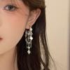 Exquisitos Pendientes Simples de Otoño e Invierno Explosivos de Diamantes Plateados de TikTok con Sentido del Diseño Nicho Lujo Ligero Sentido Avanzado Pendientes de Borla
