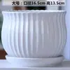 Vaso de flor de cerâmica grande em promoção, simples branco para interior mesa de centro varanda pequeno vaso para suculentas para jiboia dourada e samambaia aspargo