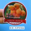 Calcomanía de Fruta Cereza Fresa Yaca Calcomanía de Fruta y Verdura Adhesivo Universal Marca Registrada Personalizada Película Impermeable Logotipo
