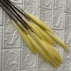 Caña Dorada de 3 Puntas Decoración de Boda Escandinava Caña Artificial Hierba de las Pampas Atrezzo para Fotografía Hierba Cola de Perro