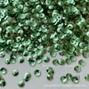 Ai verde série 3/4/5/6mm série [PL21] bordado francês acessórios de vestuário PET mão-costurado contas