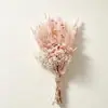 Flores Secas, Flores Preservadas, Mini Ramos, Regalos Navideños, Más Vendidos Transfronterizos, Hecho a Mano, Venta al por Mayor y Dropshipping del Fabricante de Yunnan
