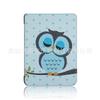 2019 para o novo conjunto Kindle para o conjunto Kindle 658 Youth