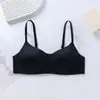 Ropa Interior Sin Costuras para Mujer, Ropa Interior Brillante para Pecho Pequeño, Sujetador Cómodo de Una Pieza con Push-Up, Sin Aros, Sujetador de Comercio Exterior