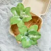 Flor de imitación pasador diy flor de lirio pequeña cabeza de flor flor para zapato flor para sombrero decoración de mesa para el hogar decoración de tocado de flor de seda
