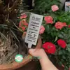 Arco de Ferro Estilo Vintage para Jardim, Inserções, Etiquetas e Placas Florais para Marcadores de Plantas, Decorações de Jardim e Enfeites para Vasos de Suculentas
