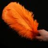 Directo de fábrica 35-40 cm pluma de avestruz actuación en escenario color pluma grande diy decoración de boda flor avestruz