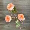 Borda tostada de 3 cabeças Austin multi-cabeça borda queimada retrô rosa decoração de casa decoração sala de estar mesa decoração floral