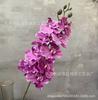 9 Phalaenopsis estilo europeo para sala de estar, hogar, adornos florales, decoración, boda, flores suaves, accesorios de fotografía, flores de simulación.