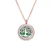 Collar Difusor de Aromaterapia para Mujer, Colgante Hueco en Oro Rosa, Puede Contener Aceites Esenciales, Apertura y Cierre Magnéticos, Venta al por Mayor de Joyería