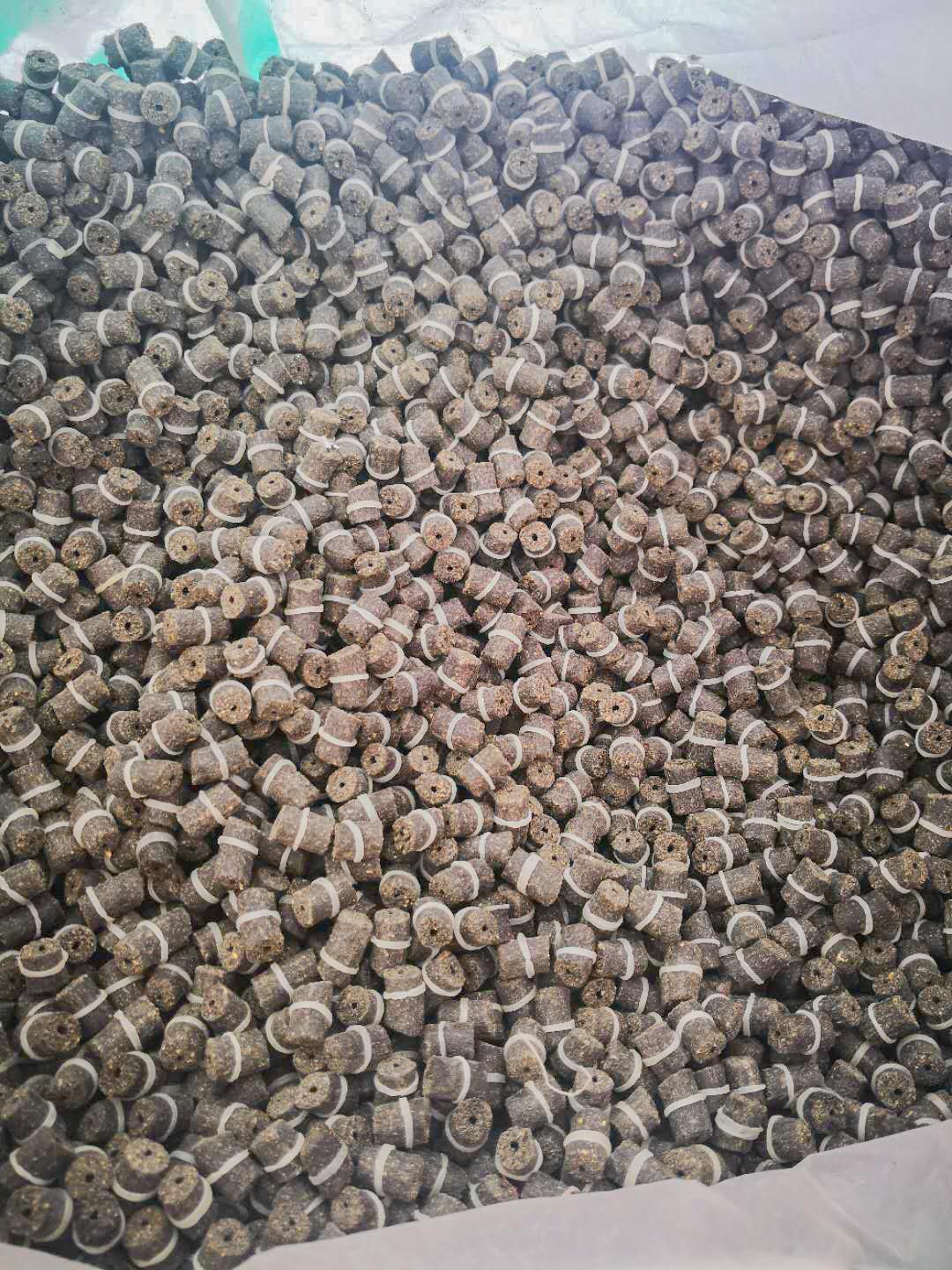 8574298313_1475966807