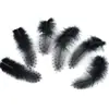 En Stock Todo el Año 5-10cm Plumas de Pollo de Plumas Perla Accesorios para Manualidades Juguetes para Mascotas con Plumas Materiales de Decoración