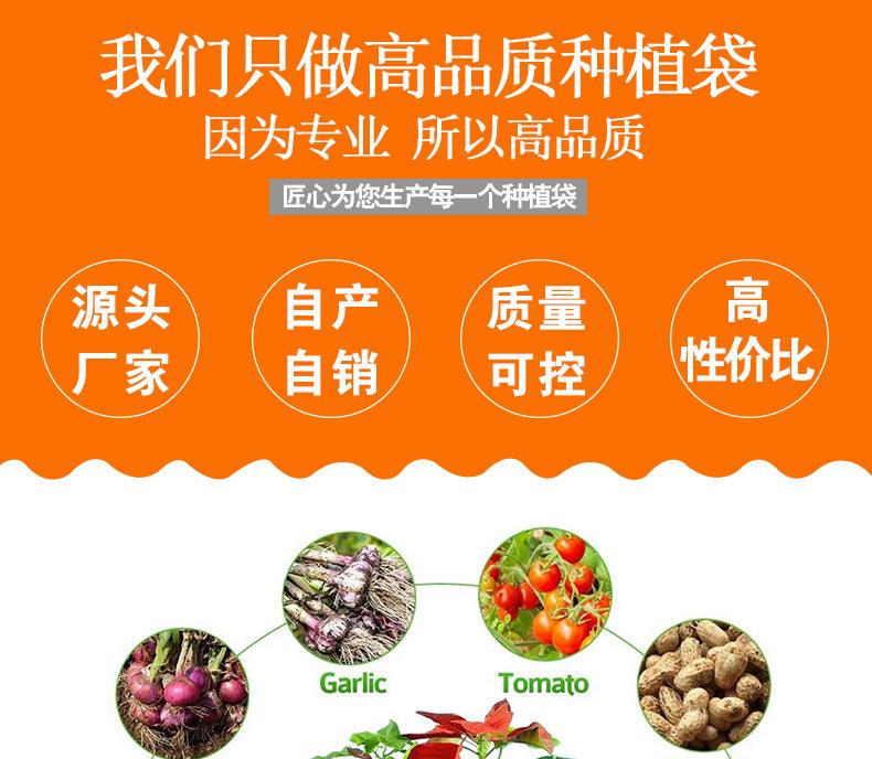 彩色种植袋2_01.jpg