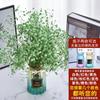 Yunnan Kunming Dounan Céu Estrelado flores secas naturais pesando Jin vendendo buquê grande de sala de estar fresca para decoração de casa frete grátis