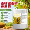 Fertilizante específico para ginkgo, fertilizante composto para ginkgos, adequado para ginkgos em vasos, bonsais e outras plantas verdes
