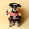Perro transfronterizo Mascota Fadou Teddy Koji Schanery Oso Cachorro Halloween Otoño e Invierno Ropa al por mayor