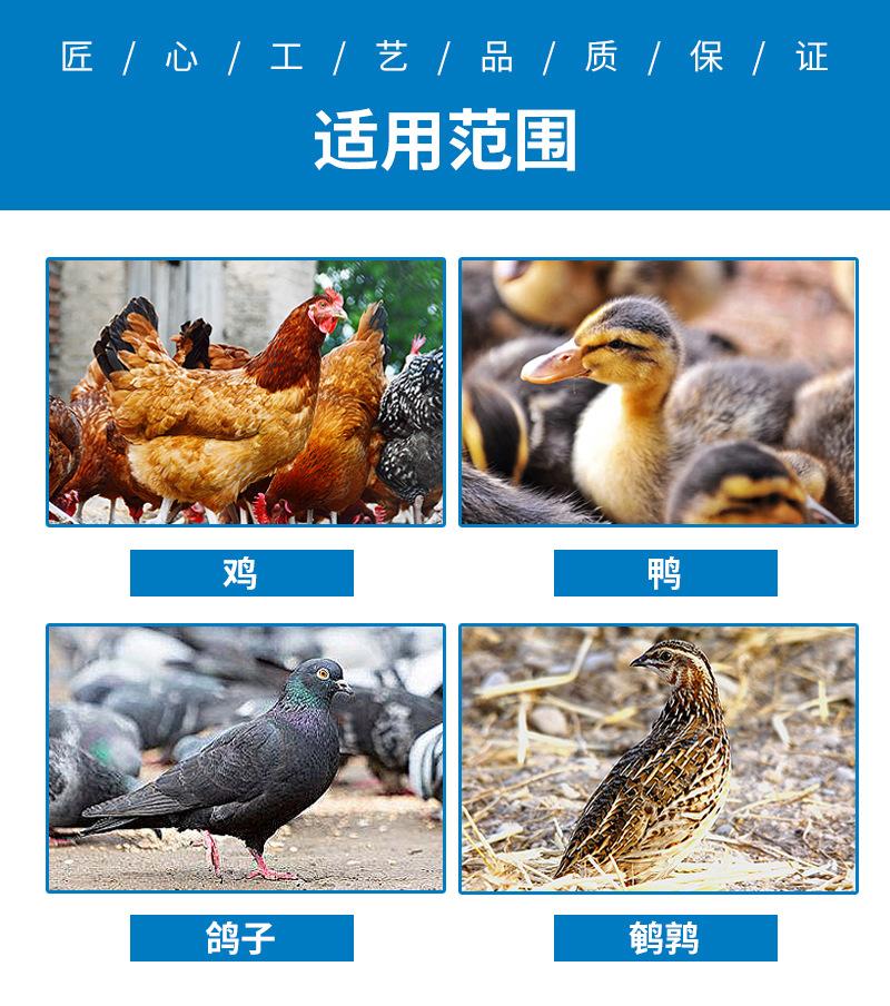 详情页_06
