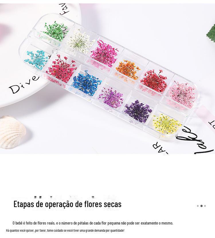 美甲干花 蕾丝干花 水仙花