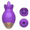 Vibrador de Disciplina de Punição Vibrador Sugador Feminino Som Silencioso Sem Ruído Brinquedo de Lamber Língua Produtos Eróticos Produtos para Adultos