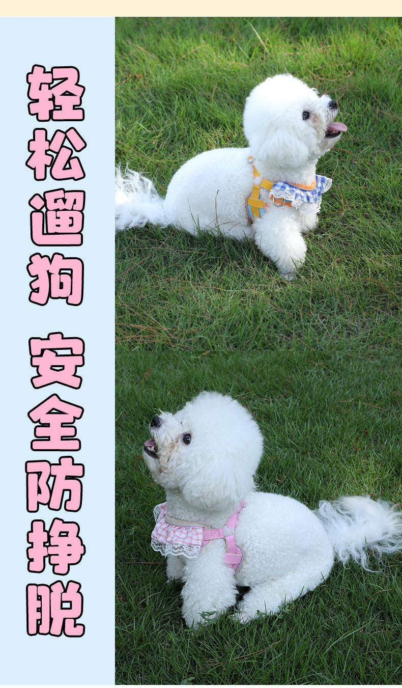 狗_14.jpg